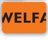 Welfare State International
